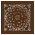 Paisley Bandanas