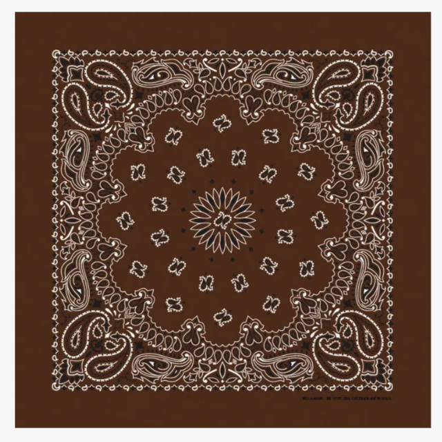 Paisley Bandanas