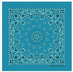 Paisley Bandanas