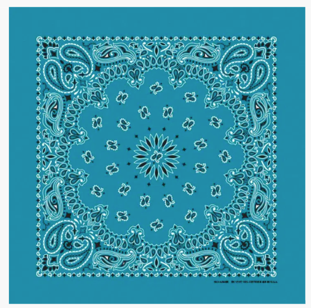 Paisley Bandanas