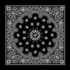 Paisley Bandanas