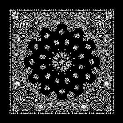 Paisley Bandanas