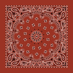 Paisley Bandanas