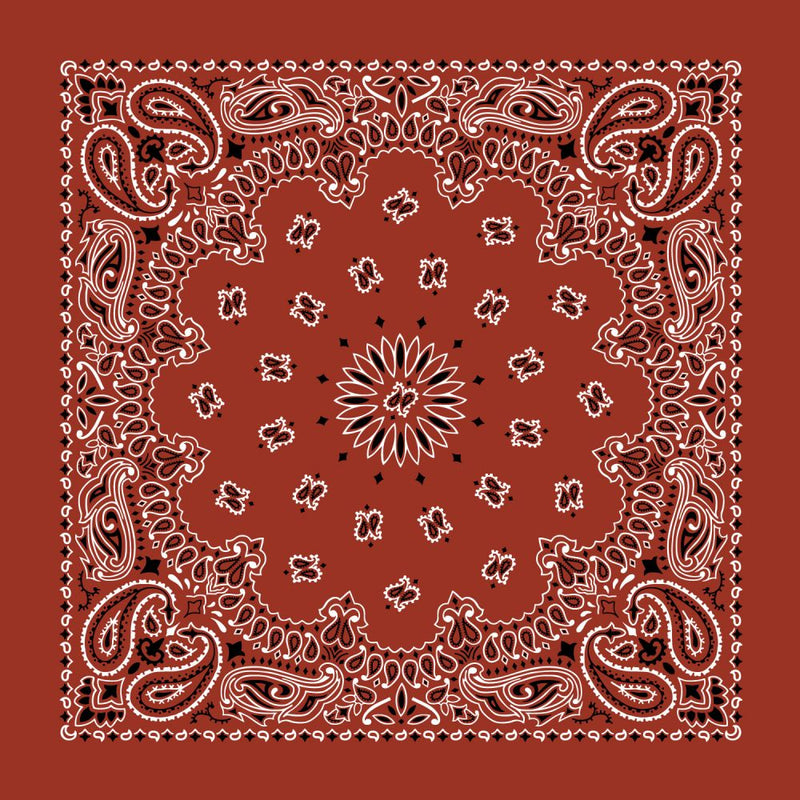 Paisley Bandanas