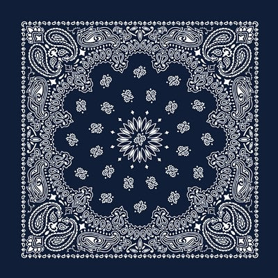 Paisley Bandanas